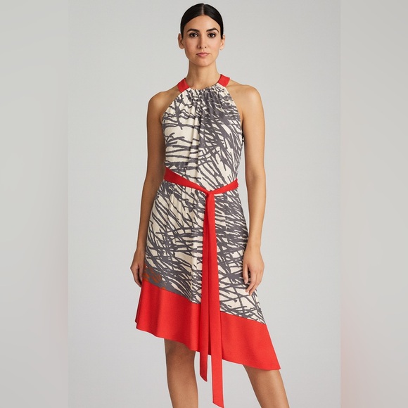 Adrianna Papell Dresses & Skirts - Adrianna Papell Hi Low Asymmetrical Dress Red Gray Sleeveless Sz 4